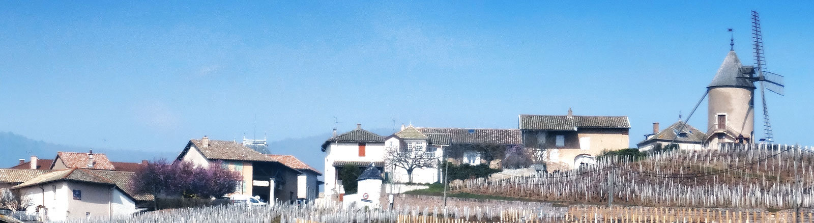 Moulin à Vent - Beaujolais